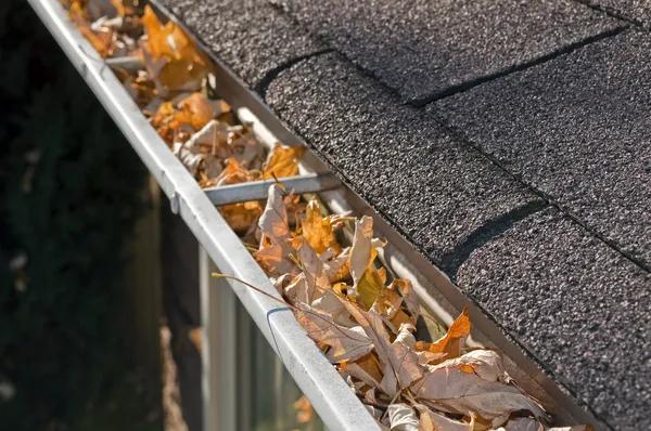 Commercial Gutter Cleaning Folsom Reliable Services for Businesses