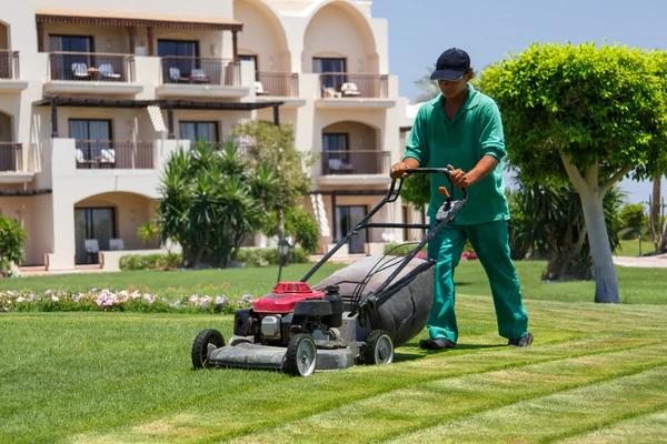 Professional Lawn Care Service That Increases Curb Appeal