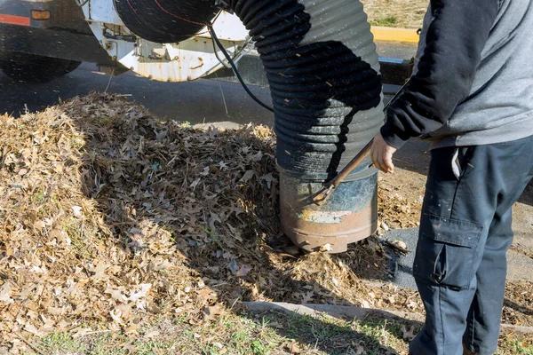 Top-Rated Septic Repairs Loganville Solutions