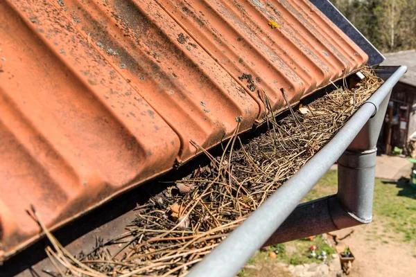 How Indianapolis Gutter Cleaning Can Prevent Foundation Issues