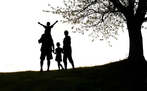 How a Chiropractor Franklin Lakes Clinic Helps Improve Daily Comfort