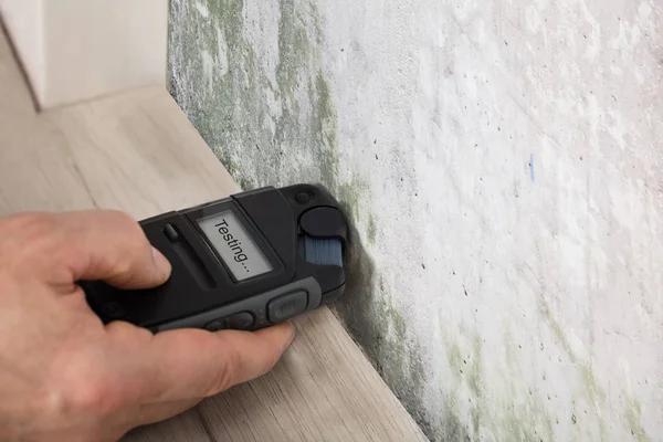 Mold Testing FremontWhy Professional Inspection Protects Your Home