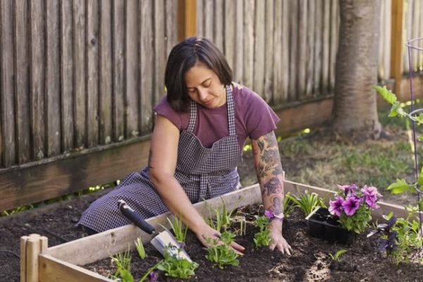 Designing Your Own Enchanting Garden: Inspiration from UF Butterfly Garden