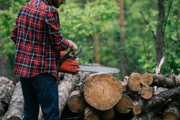 Shelton WA Tree Removal for Storm-Damaged and Hazardous Trees