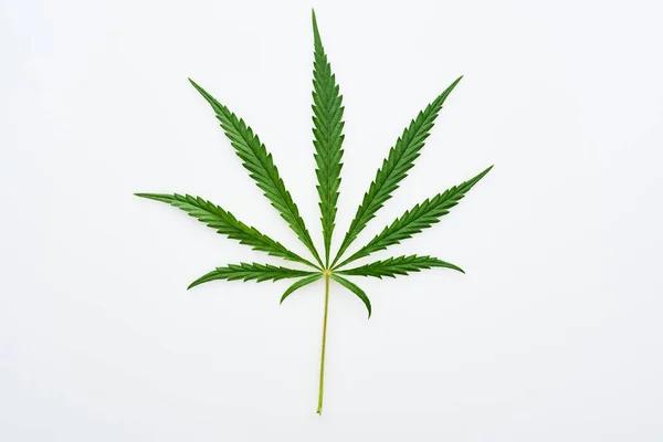 What to Consider When Evaluating Delta-8 THC Products