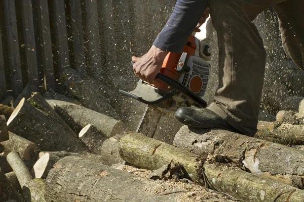 Professional Tree Removal Service for Safe and Reliable Results