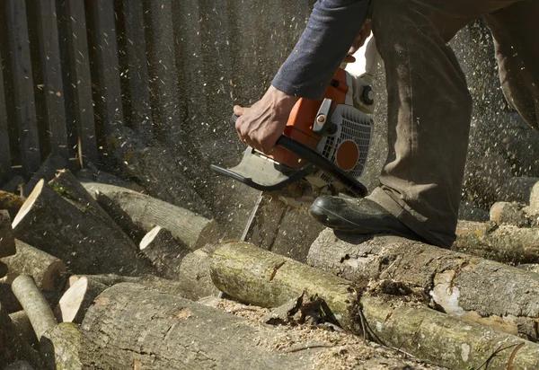Professional Tree Removal Service for Safe and Reliable Results